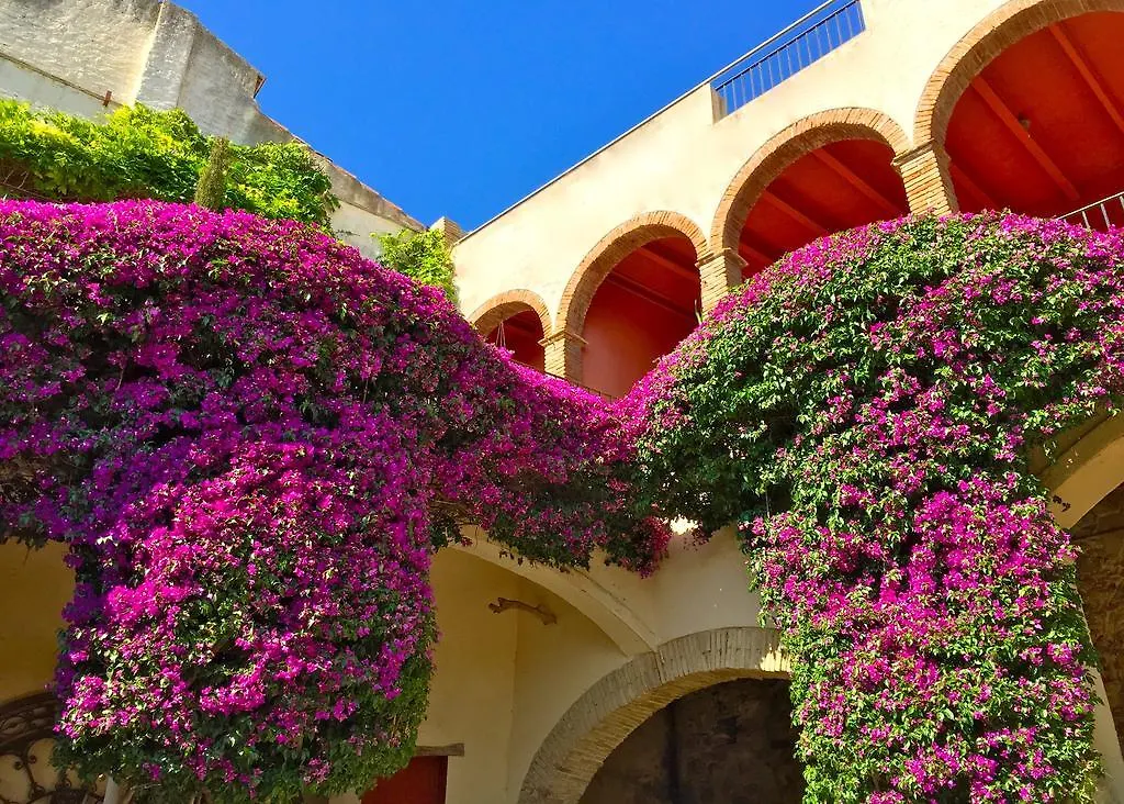 Appartamento Apartaments Can Gibert Castello  D'Empuries Spagna